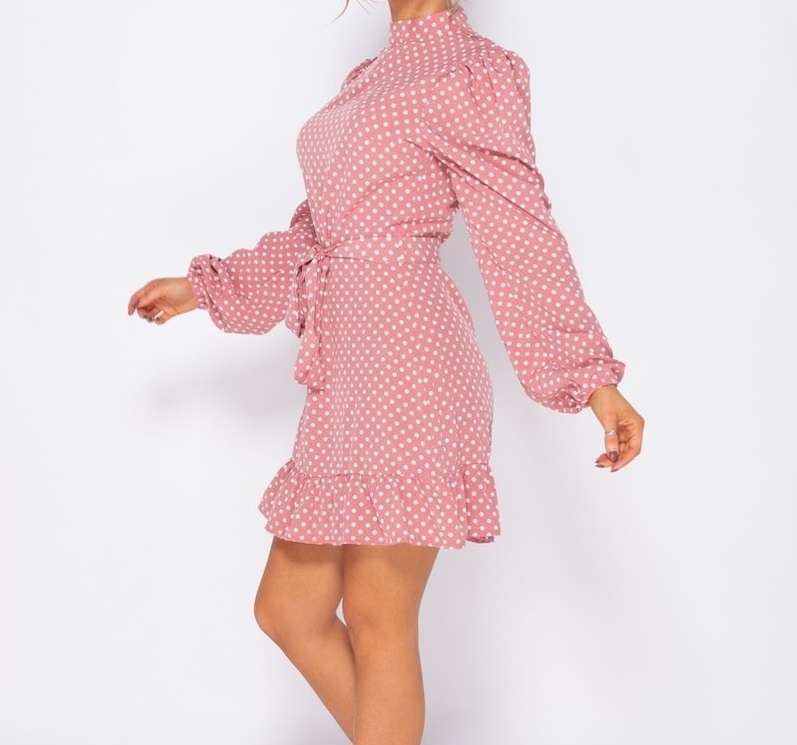 Polka Dot Frill Hem Waist Tie High Neck Mini Dress - Image 6